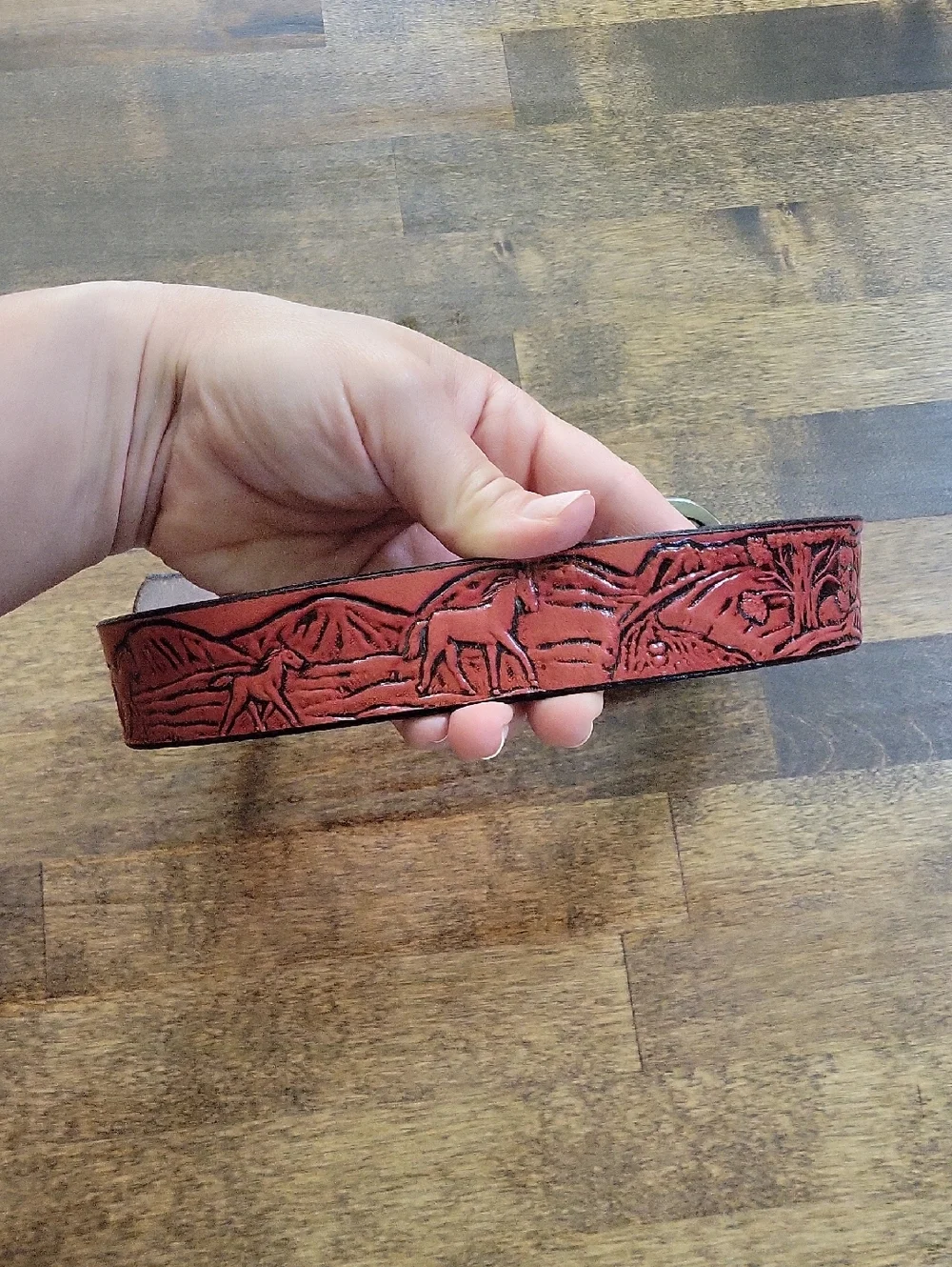 Tooled Red Leather Kid Belt Size 25 Removable Buckle